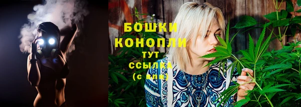 гидропоника Кулебаки