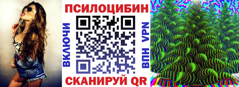 Псилоцибиновые грибы мухоморы Почеп